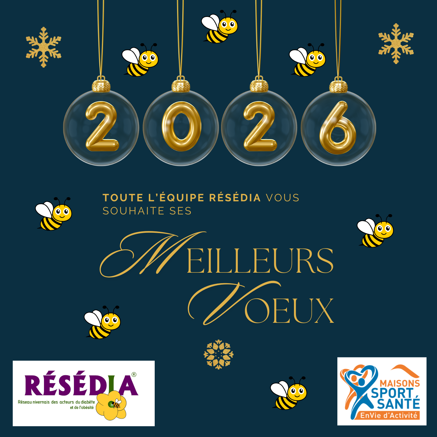 Meilleurs voeux 2026!!
